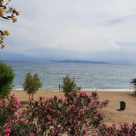 Perfect Beachfront Apartment Athen Eksteriør bilde